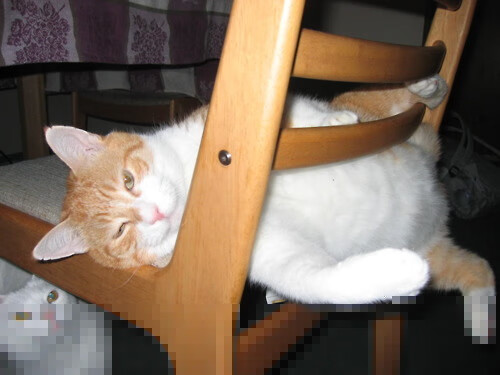 詹姆斯再显王霸之气！湖人碾压国王；塔图姆欧冠赛场接管比赛，新一代巨星崛起！